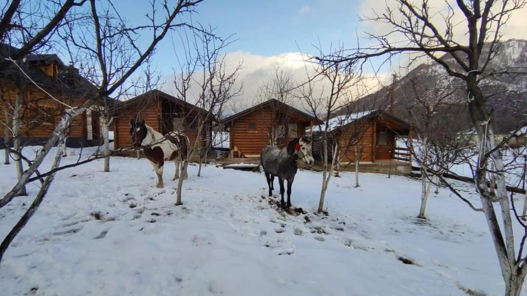 Holiday Bungalows & Food Plav Esterno foto